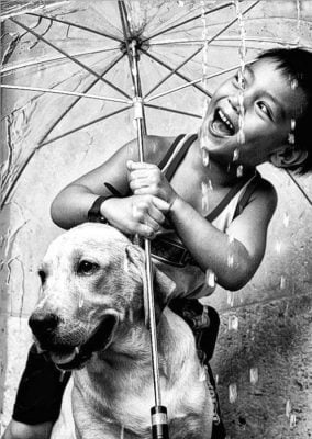 cachorro na chuva